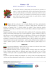 vánoce v eu - vrbicany.cz