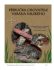 PDF Verze - Varanus Niloticus