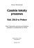 Czeskie teksty prasowe Polska 2010