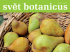 číslo 16 - Botanicus