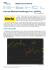 Hertz Global Holdings, Inc. (HTZ) Zajímavá akcie - Praha