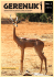 434_GERENUK VOL 1 2015 30 06 S - Žirafy