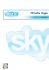 Skype - Vysoká škola ekonomická v Praze