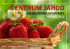 centrum jahod - Jahodárna Vraňany