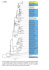 GARLI Maximum likelihood (a) and Bayesian (b) tree based on the