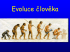 Prezentace evoluce člověka