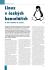 Linux v českých kancelářích