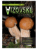 Vizovske noviny_5_12.qxd