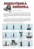 Léto 2006 - Nebelvírský web