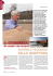 Jezdectví 6/2013