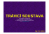 trávící soustava