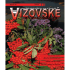 VN 5/2015 - Město Vizovice