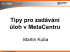 Tipy pro zadávání úloh v MetaCentru