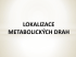 LOKALIZACE METABOLICKÝCH DRAH