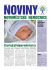 otevřít PDF - Nemocnice Nové Město na Moravě