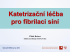 Katetrizační ablace pro FS