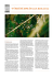 Page 1 CESTA - - - - - - - - - - - - - - - - - - - - - - - - -