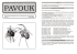 Pavouk 12 - Česk&aacute; arachnologick&aacute; společnost
