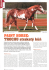 PAIN`I` IIURSE: - Paint Horse Club ČR