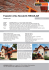 PDF - 8 MB - NOVABRIK CZECH, sro