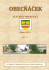 20160408_Obecnacek 1-2016