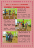 Akce ve &scaron;koln&iacute;m roce 2014/2015