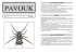 Pavouk 14