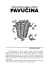 Pavucina - listopad 2011/12