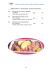 OBĚDOV&Eacute; SAL&Aacute;TY &ndash; LUNCH SALADS &ndash; SALATE ALS