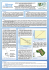 Poster ke stažen&iacute; ve form&aacute;tu pdf