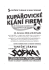 plakat fotbal klempirstvi 201